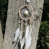 Shell and Web Rattan dreamcatcher 12 x 39 cm VTrendz