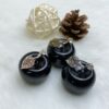 Black Obsidian Apple | The Fruit of Truth and Protection VTrendz