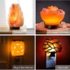 Light Bulbs for Himalayan Salt Lamps & Baskets, Chandeliers, Scentsy & Wax Warmers, E12 Socket Incandescent Candelabra Salt Lamp Bulb Long Lasting 25 Watt VTrendz