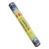 HEM Camphor Incense Sticks for Purifying and Invigorating the Mind