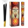 Hem Spiritual Life Incense Sticks for Elevation, Inner Awareness, and Positive Energy VTrendz