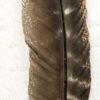 Large Barred Turkey Feather for Smudging, Rituals, and Crafting 10-12" VTrendz