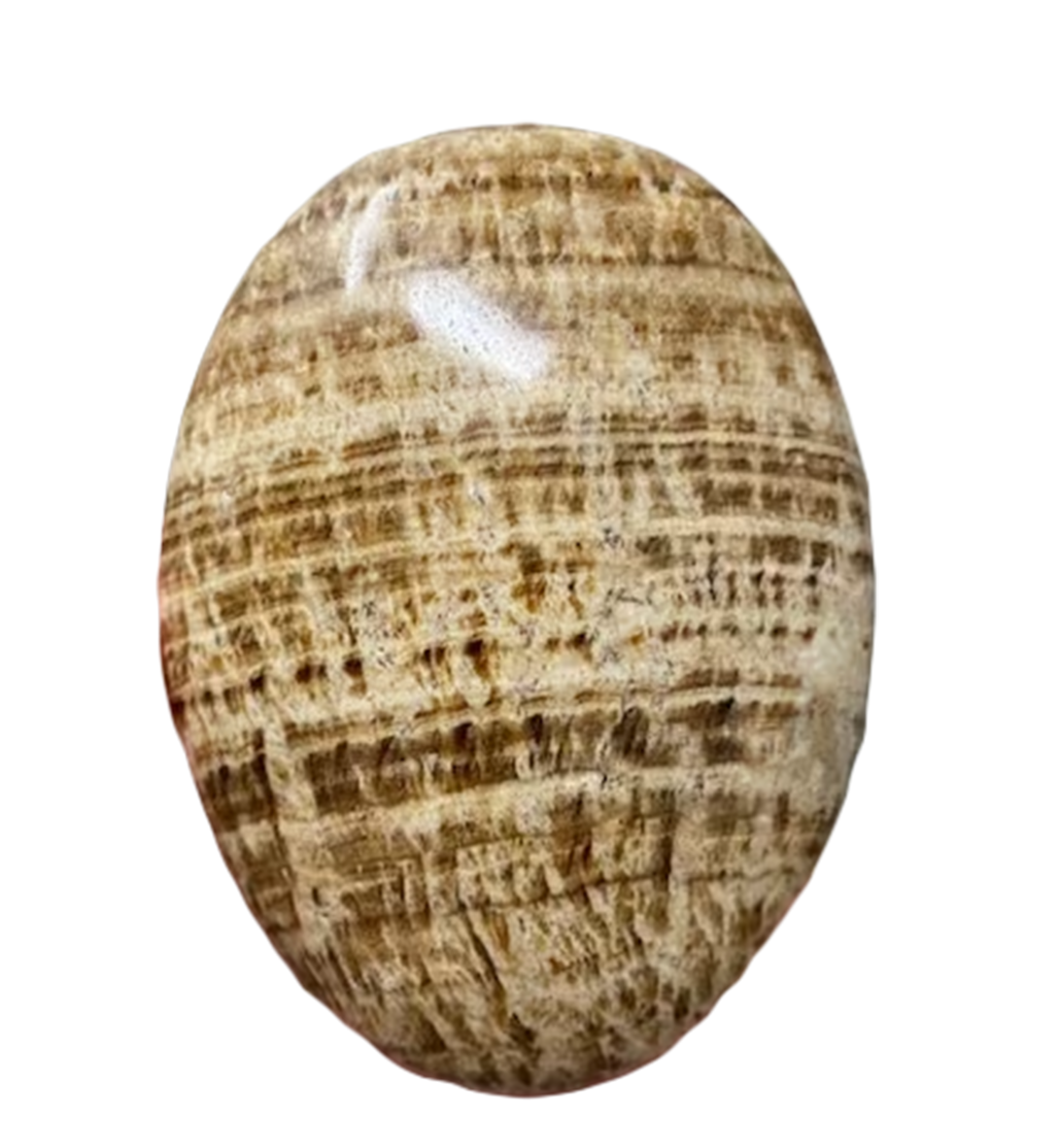 Brown Aragonite Soapshape 2-3 Inches