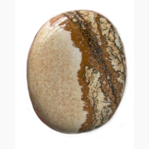 Picture Jasper Soap shape 2-3 Inches