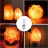Light Bulbs for Himalayan Salt Lamps & Baskets, Chandeliers, Scentsy & Wax Warmers, E12 Socket Incandescent Candelabra Salt Lamp Bulb Long Lasting 25 Watt VTrendz