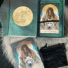 Wild Women Rising An Oracle Card Deck