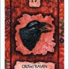 Shaman Wisdom Cards, by Leita Richesson VTrendz