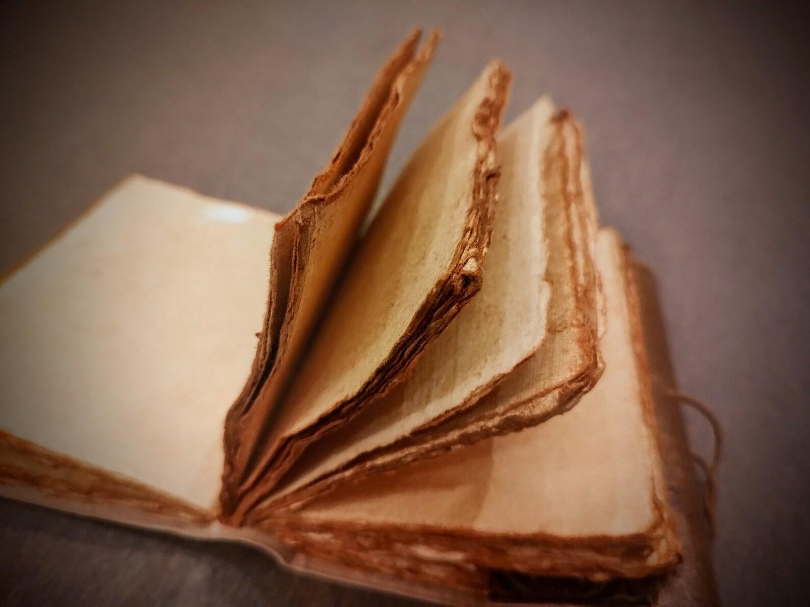 Embossed Peacock Leather Journal | Tome of Vision - Image 3