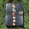 Refillable Colorful Moons Journal | A Chronicle of Celestial Beauty VTrendz