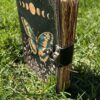 Moonlit Butterfly Journal | A Chronicle of Transformation & Soul VTrendz