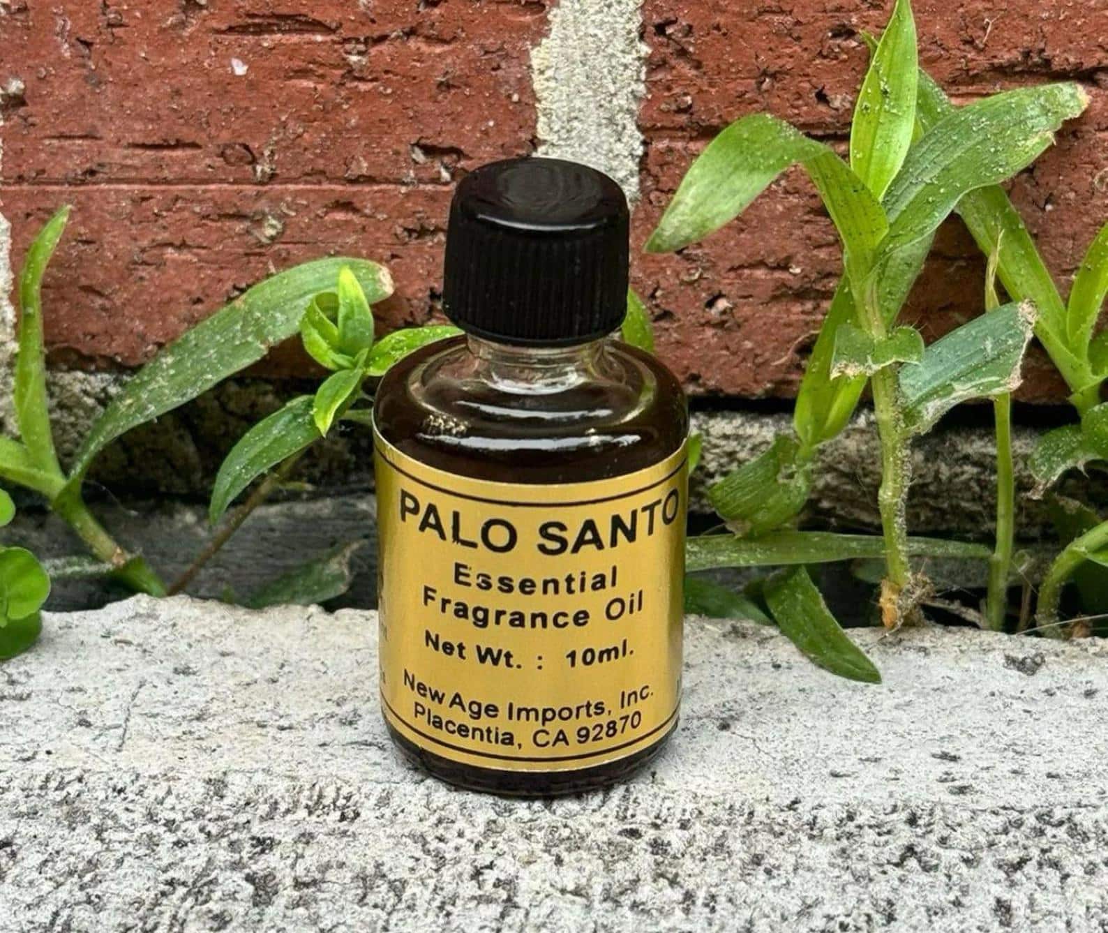 Palo Santo Aroma Oil | A 10ml Vial of Sacred Cleansing - Image 4