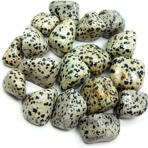 Dalmatian Jasper: The Playful Artifact of Joy, Loyalty & Protection Vtrendz.net