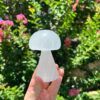 Selenite Mushroom: Crystalline Beacon for Transformation & Vitality (3–4 Inch) VTrendz