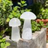 Selenite Mushroom: Crystalline Beacon for Transformation & Vitality (3–4 Inch) VTrendz