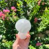 Selenite Mushroom: Crystalline Beacon for Transformation & Vitality (3–4 Inch) VTrendz
