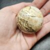Picture Jasper Sphere – The Stone of Earth Vision & Grounding VTrendz