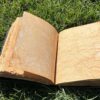 Refillable Colorful Moons Journal | A Chronicle of Celestial Beauty VTrendz