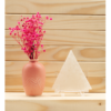 Selenite Charging Plate: Geometric Cleansing Foundation & Etheric Shield (2.4-5.5 Inch) VTrendz