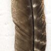 Large Barred Turkey Feather for Smudging, Rituals, and Crafting 10-12" VTrendz
