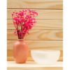 Selenite Leaf Bowl: Organic Vessel for Transmutation & Lunar Charging (6 Inch) VTrendz