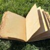 Moonlit Butterfly Journal | A Chronicle of Transformation & Soul VTrendz