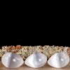 Selenite Egg: Crystalline Shield for Fertility, New Beginnings & Auric Transmutation (2.75 Inch) VTrendz