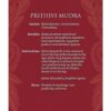 Mudras: For Awakening The Energy Body Oracle Deck, Tarot inspired, Spiritual Divination Tools, Metaphysical Gifts, 5.5"*4.5" Deck, 40 Cards & Guidebook Set - Image 5