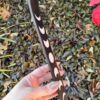 Phases of the Moon Incense Stick Burner | Lunar Cycle Ash Catcher (10"L) VTrendz