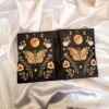 Moonflower Moth Journal | A Chronicle of Night Blooms & Transformation VTrendz