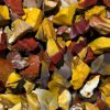 Mookaite Jasper: The Earthy Artifact of Adventure, Versatility & Agelessness VTrendz