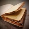 Embossed Peacock Leather Journal | Tome of Vision VTrendz