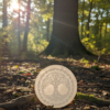 Selenite Engraved Round Charging Plate: Celtic Tree of Life (4 Inch) VTrendz