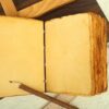 Moonflower Moth Journal | A Chronicle of Night Blooms & Transformation VTrendz