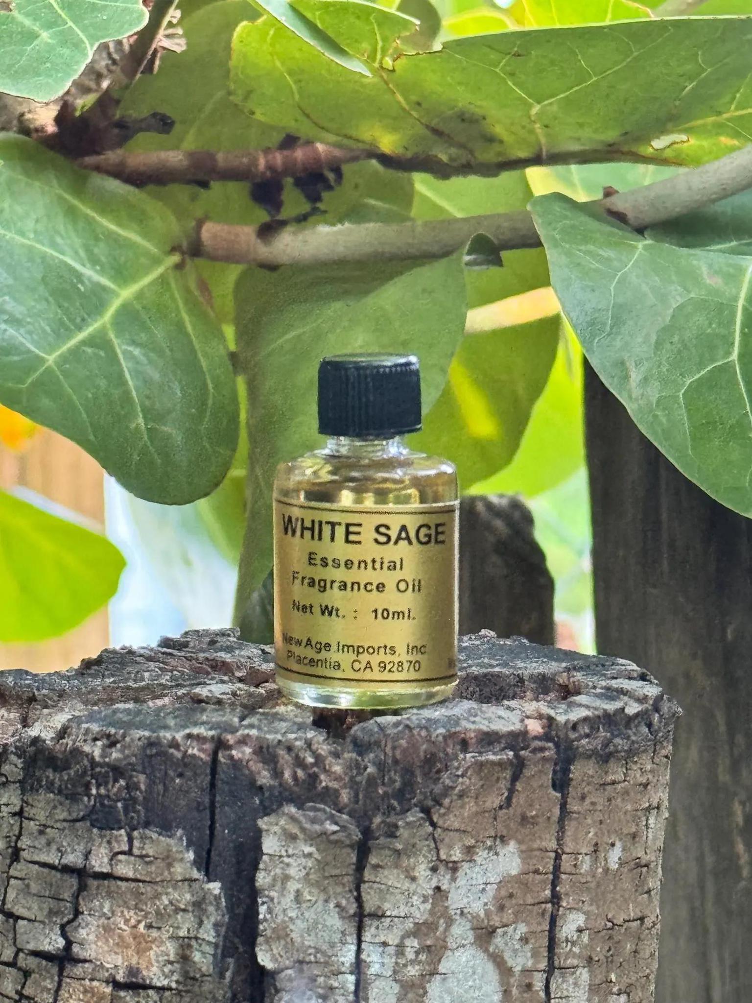 White Sage Aroma Oil | A 10ml Vial of Potent Cleansing - Image 3