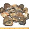 Botswana Agate: The Banded Artifact of Solutions, Emotional Maturity & Comfort VTrendz