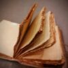 Embossed Peacock Leather Journal | Tome of Vision VTrendz