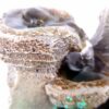 Small Rockery with LED Light Antique Resin Tabletop Waterfall Fountain 13cm*13cm*18 cm VTrendz