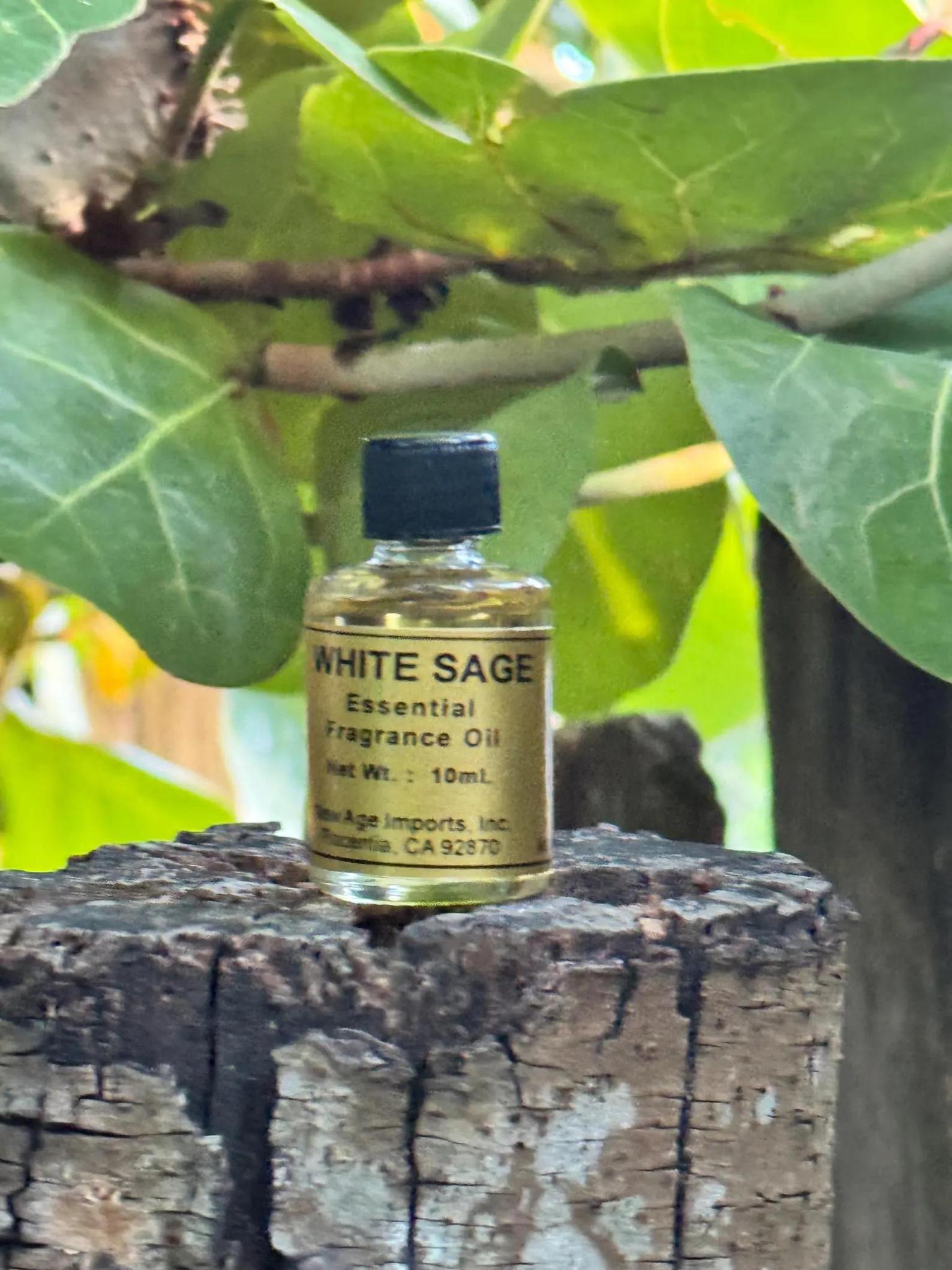 White Sage Aroma Oil | A 10ml Vial of Potent Cleansing