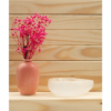 Selenite Heart Shaped Bowl: Crystalline Vessel of Love & Purification (6 Inch) VTrendz