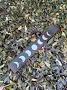 Phases of the Moon Incense Stick Burner | Lunar Cycle Ash Catcher (10"L) - Image 4