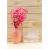 Selenite Engraved Charging Plate Coaster for Crystal Cleansing & Manifestation 3x3 Inch VTrendz