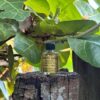 White Sage Aroma Oil | A 10ml Vial of Potent Cleansing VTrendz