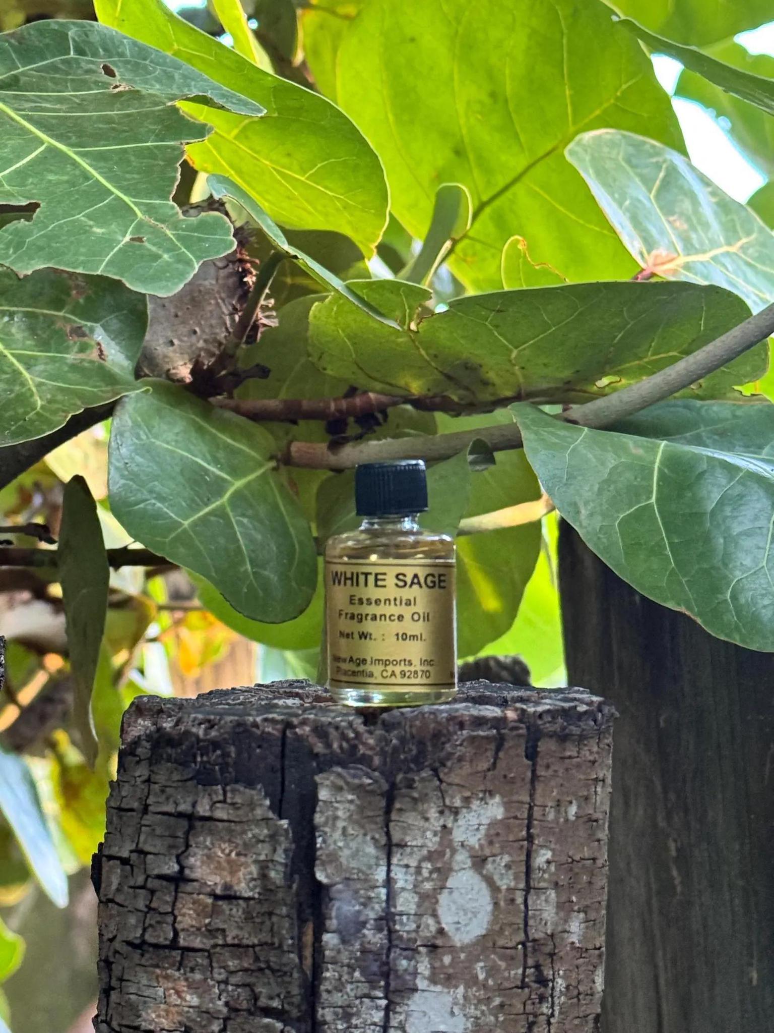 White Sage Aroma Oil | A 10ml Vial of Potent Cleansing - Image 2