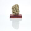 Pyrite On Wood 2.25" x 1.75" x 1.75" to 3" x 2.5" x 1.75" VTrendz