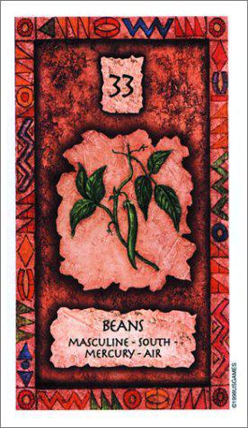Shaman Wisdom Cards, by Leita Richesson - Image 3
