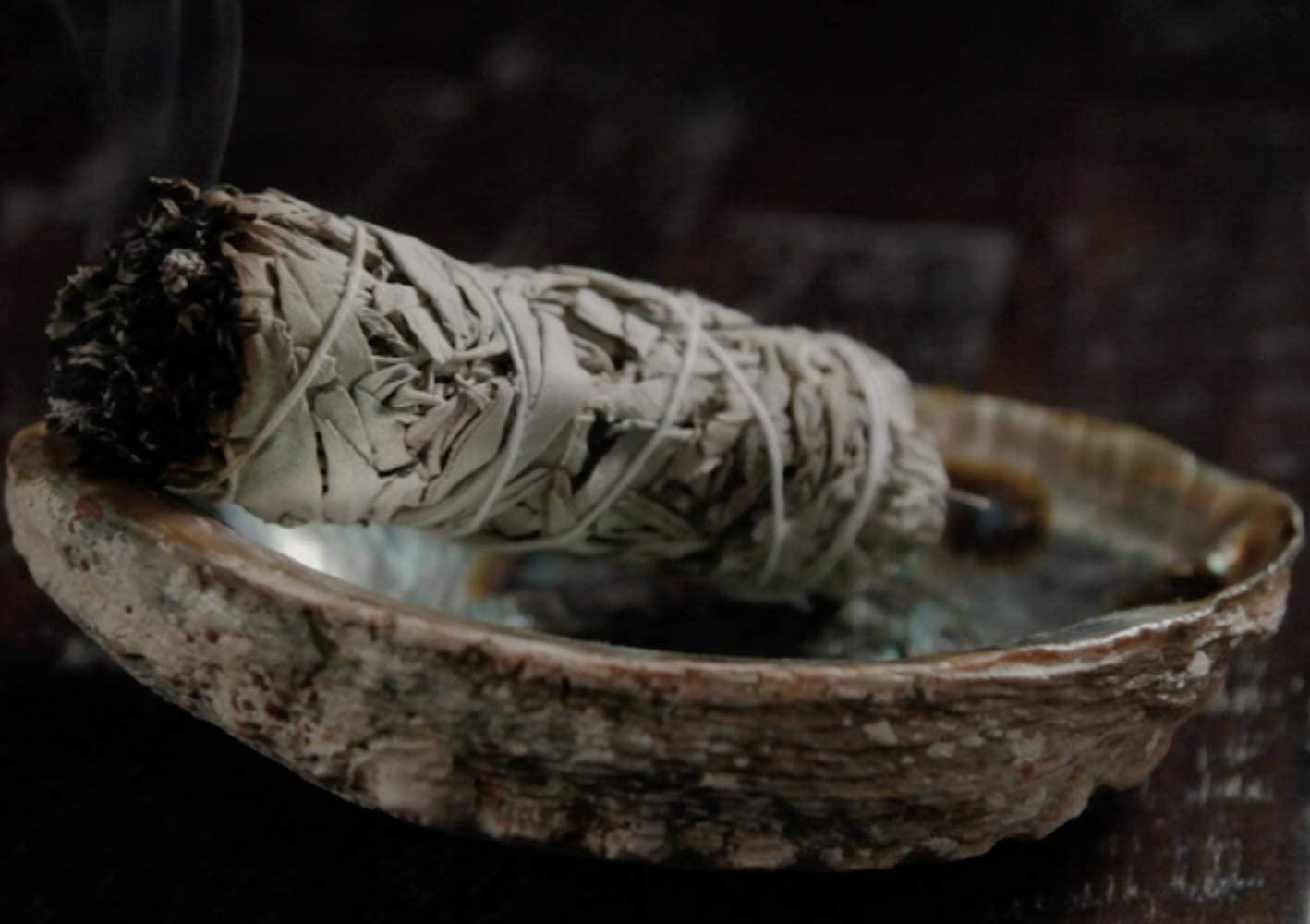 White Sage Smudge Bundle for Spiritual Cleansing and Clearing Negative Energy 3-4" - Image 4