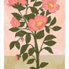 The Harmony Tarot, by Harmony Nice - Image 7