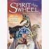 Spirit of The Wheel Meditation Card Deck, by Linda Ewashina VTrendz