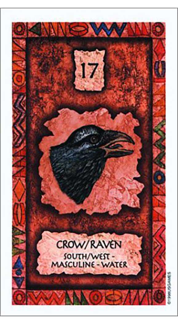 Shaman Wisdom Cards, by Leita Richesson - Image 2