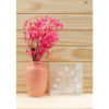 Selenite Engraved Charging Plate Coaster for Crystal Cleansing & Manifestation 3x3 Inch VTrendz